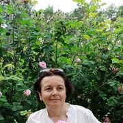  ,   , 56 ,   ,   , c 