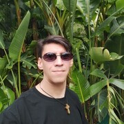  ,   Timur, 40 ,   ,   , c 