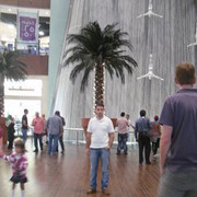 ���������� ����, ���� ������� Elman, 43 ����, ������������ ��� ������