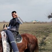 ���������� ������-��-����, ���� ������� ������, 41 ���, ������������ ��� ������, ����� � ���������