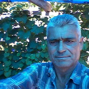  ,  amin, 63