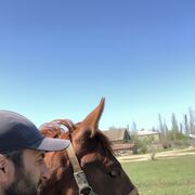 ���������� ���������, ���� ������� �����, 40 ���, ������������ ��� ������, ����� � ���������, c�������� ���������, ���������