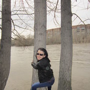  -,   , 38 ,   ,   , c 
