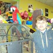 ���������� ��������, ���� ������� ��������, 46 ���, ������������ ��� ������, ����� � ���������