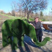 ���������� ���������, ���� ������� �����, 62 ����, ������������ ��� ������, ����� � ���������, c�������� ���������, ���������