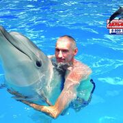 ���������� ��������, ���� ������� �������, 44 ����, ������������ ��� ������, ����� � ���������, c�������� ���������