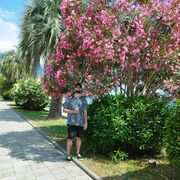 ���������� ������, ���� ������� ������, 35 ���, ������������ ��� ������, ����� � ���������, c�������� ���������