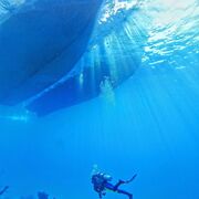 ���������� ������, ���� ������� �������, 28 ���, ������������ ��� ������, ����� � ���������