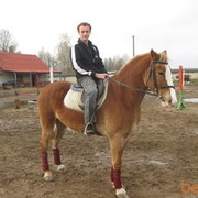 ���������� �������, ���� ������� ����, 38 ���, ������������ ��� ������, ����� � ���������, c�������� ���������