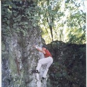  ,  spirit, 40