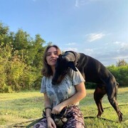 ���������� ���������, ����