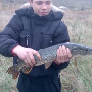 ���������� ��������, ���� ������� ���������, 35 ���, ������������ ��� ������, ����� � ���������, c�������� ���������