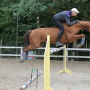 ���������� ��������, ���� ������� ����, 37 ���, ������������ ��� ������, ����� � ���������, c�������� ���������