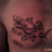 ���������� ������, ���� ������� ������, 39 ���, ������������ ��� ������, ����� � ���������, c�������� ���������