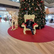  ,   , 29 ,     , c 