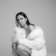 ���������� ���������������, ������