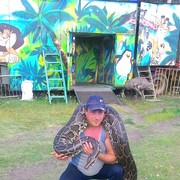 ���������� ���������, ���� ������� ����������, 42 ����, ������������ ��� ������, ����� � ���������, c�������� ���������