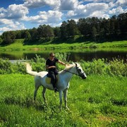 ���������� �����������, ���� ������� ������, 33 ����, ������������ ��� ������, ����� � ���������, c�������� ���������