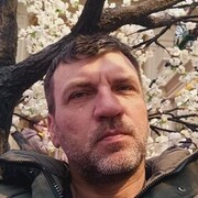  ,   , 49 ,     , c 