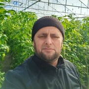  ,   , 52 ,   ,   