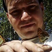  ,   , 45 ,   ,   