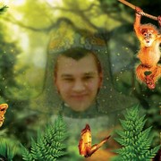 ���������� ������ ��������, ���� ������� ������, 44 ����, ������������ ��� ������, ����� � ���������, c�������� ���������