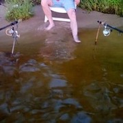 ���������� ����, ���� ������� �����, 48 ���, ������������ 