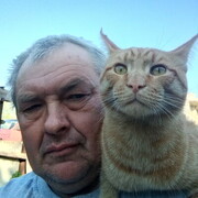  ,   , 53 ,   