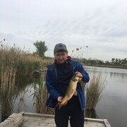 ���������� ����������, ���� ������� Sergey, 33 ����, ������������ ��� ����� � ���������, c�������� ���������