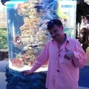 ���������� �������, ���� ������� �������, 42 ����, ������������ ��� ������, ����� � ���������