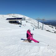 ���������� ������ �����, ���� ������� ����������, 41 ���, ������������ ��� ���������