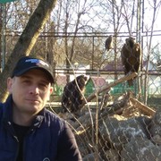 ���������� �����������, ���� ������� ����, 43 ����, ������������ ��� ������, ����� � ���������, c�������� ���������