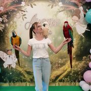 ���������� ������, ���� ������� �����, 28 ���, ������������ 