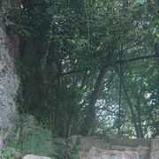  Limassol,   , 62 ,   c , 