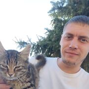 ���������� ������, ���� ������� ������, 29 ���, ������������ ��� c�������� ���������, ���������