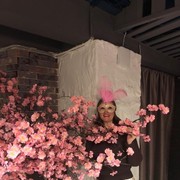 ���������� ������, ���� ������� ����, 50 ���, ������������ ��� ������, ����� � ���������, c�������� ���������