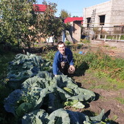 ���������� ��������, ���� ������� �������, 37 ���, ������������ ��� ������, ����� � ���������, c�������� ���������