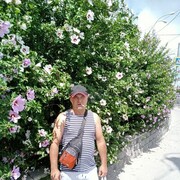 ���������� �����������, ���� ������� �������, 43 ����, ������������ ��� ������, ����� � ���������, c�������� ���������, ���������