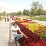  ,   , 31 ,     , c 