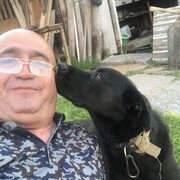  -,   , 52 ,   ,   