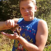 ���������� ������, ���� ������� ���������, 36 ���, ������������ ��� ������, ����� � ���������, ���������