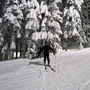 ���������� ����, ���� ������� ���������, 42 ����, ������������ ��� ������, ����� � ���������, c�������� ���������