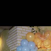 ���������� ����, ���� ������� �����, 37 ���, ������������ ��� ������, ����� � ���������