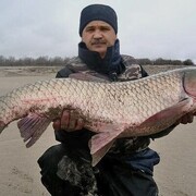  ,   Sergei, 61 ,   ,   , 