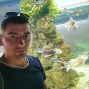 ���������� �������, ���� ������� ���������, 38 ���, ������������ ��� ������, ����� � ���������