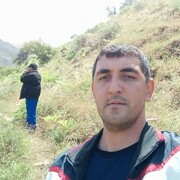  ,   Davlat, 31 ,   ,   