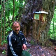 ���������� ������, ���� ������� ������, 54 ����, ������������ ��� ������, ����� � ���������