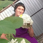  ,   , 37 ,  
