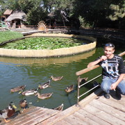  ,   , 50 ,   ,   , c 