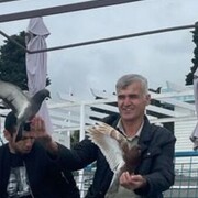 ���������� �����, ���� ������� ����, 54 ����, ������������ ��� ������, ����� � ���������